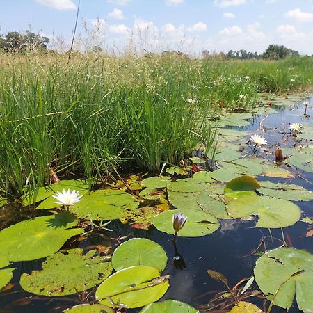 Golentle Home Stay Maun Zewnętrze zdjęcie