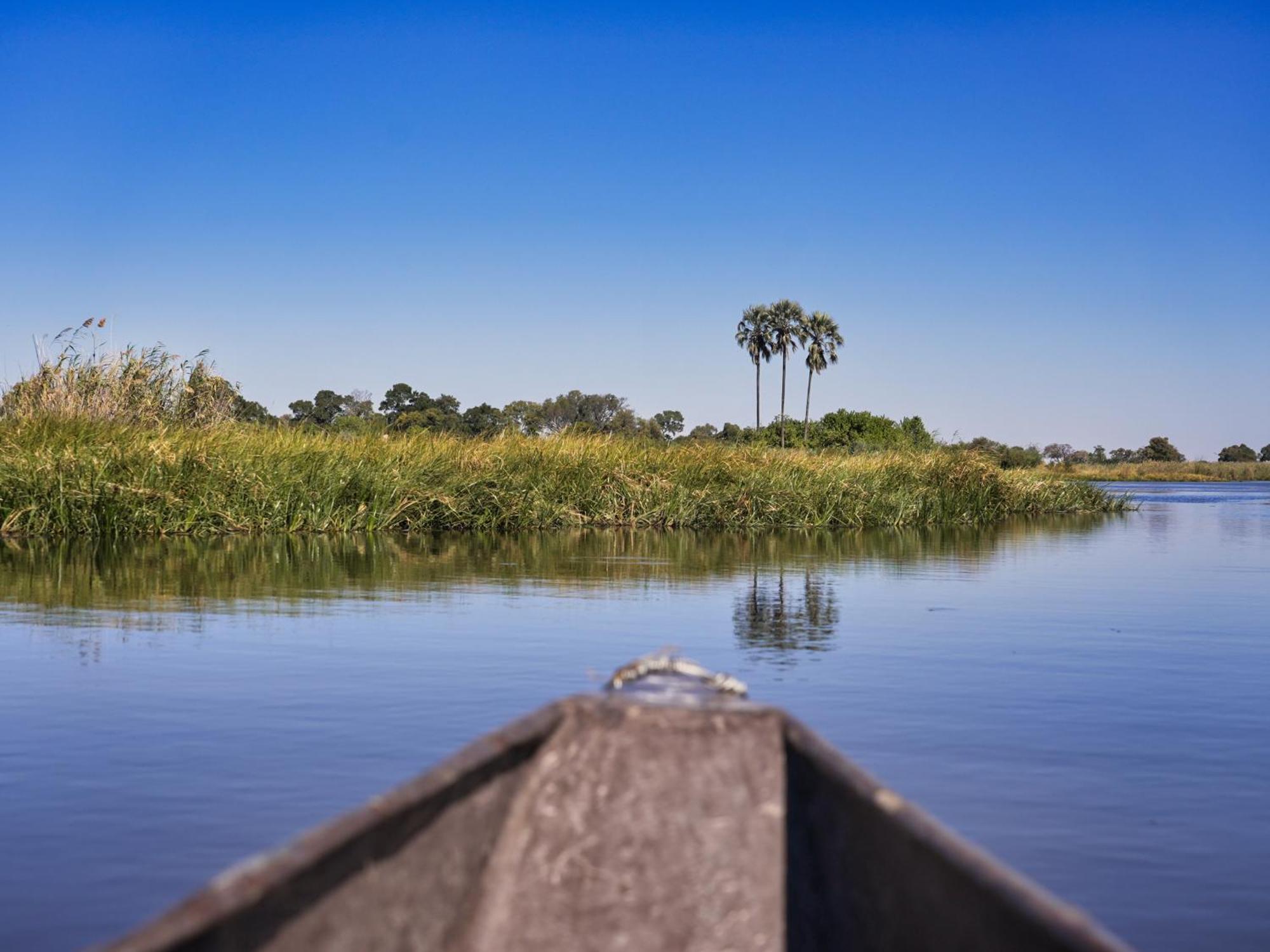 Golentle Home Stay Maun Zewnętrze zdjęcie