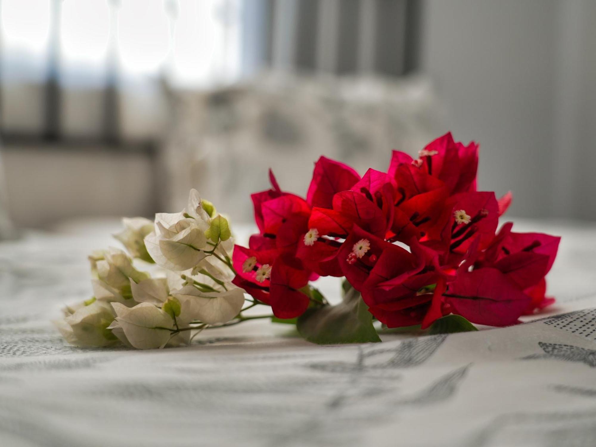 Golentle Home Stay Maun Pokój zdjęcie