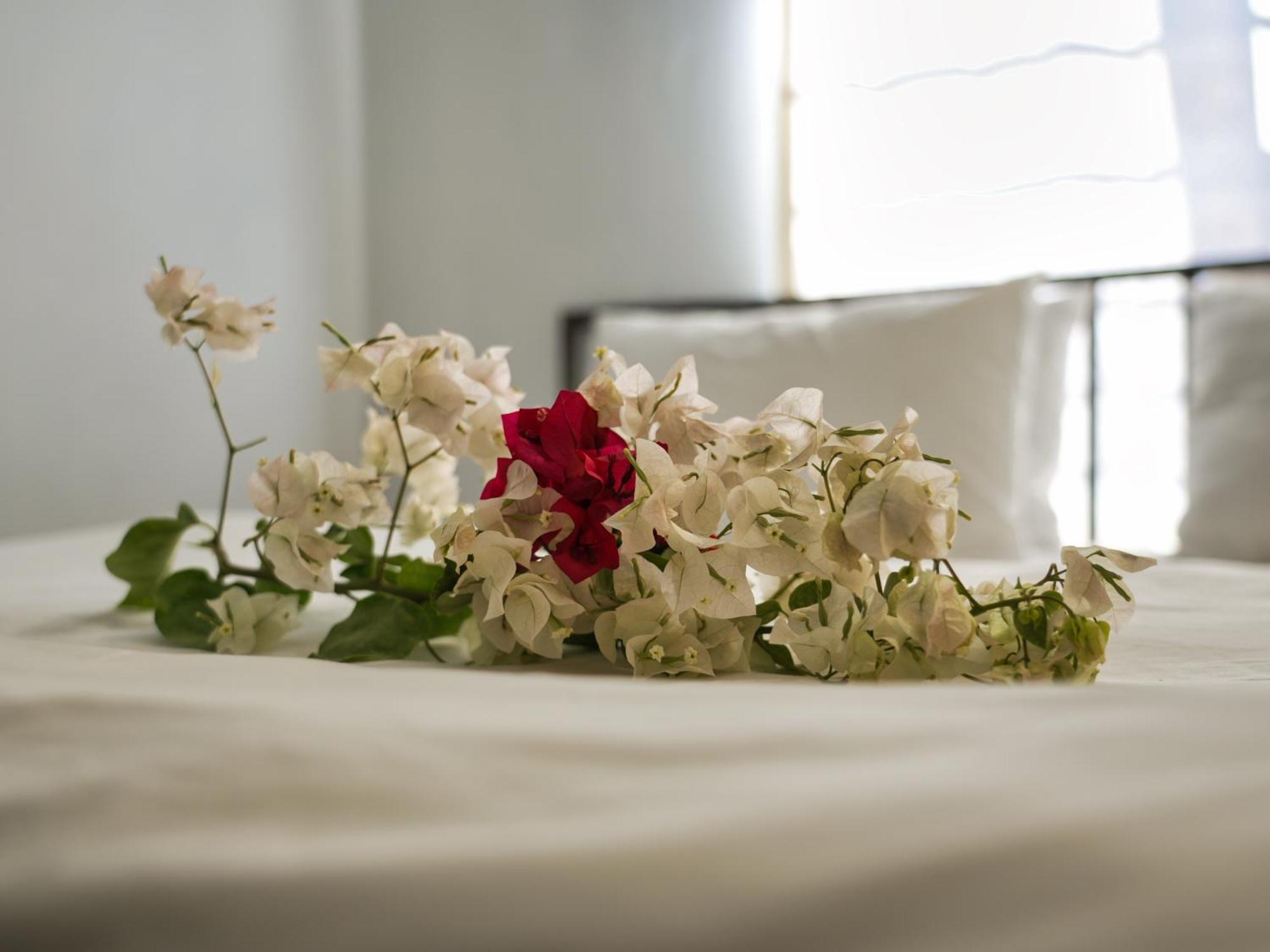 Golentle Home Stay Maun Pokój zdjęcie