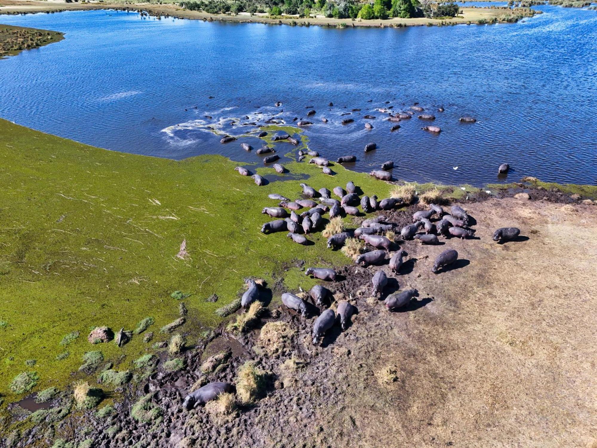 Golentle Home Stay Maun Zewnętrze zdjęcie