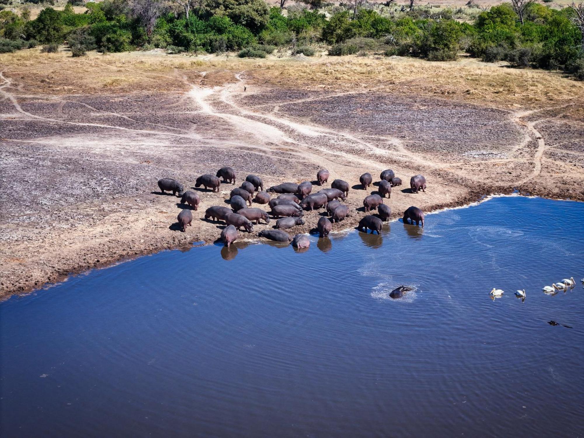 Golentle Home Stay Maun Zewnętrze zdjęcie