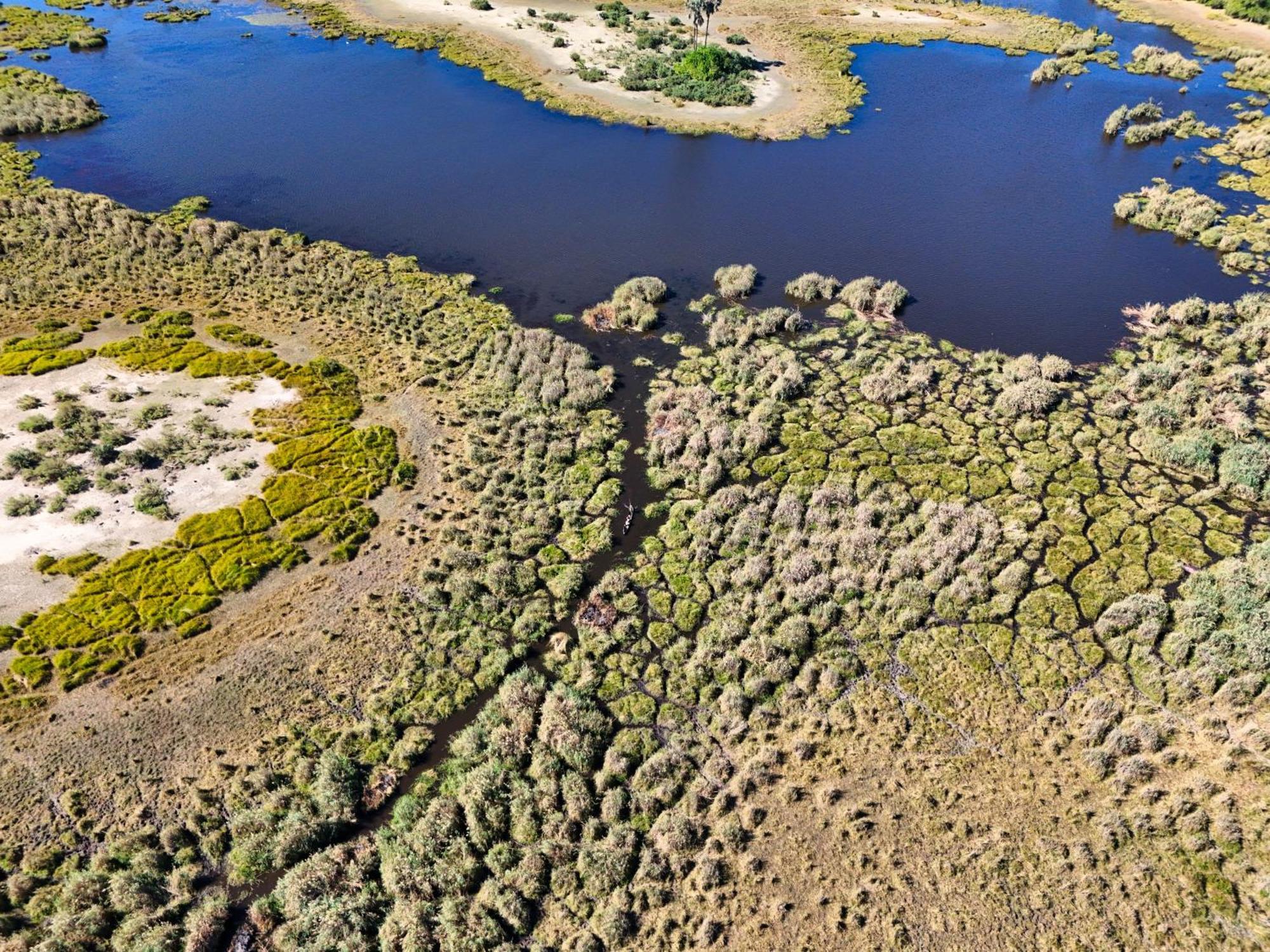 Golentle Home Stay Maun Zewnętrze zdjęcie