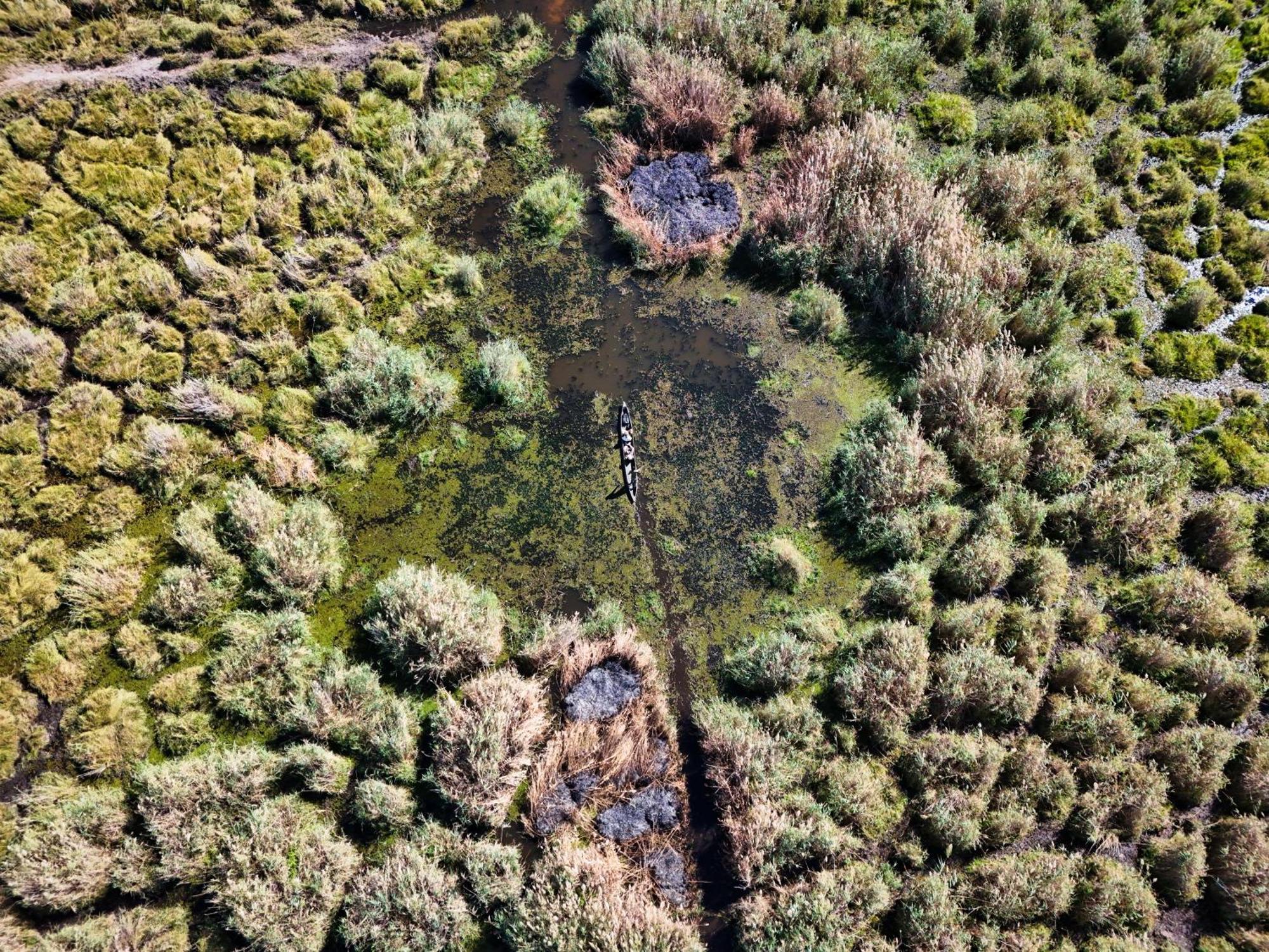 Golentle Home Stay Maun Zewnętrze zdjęcie