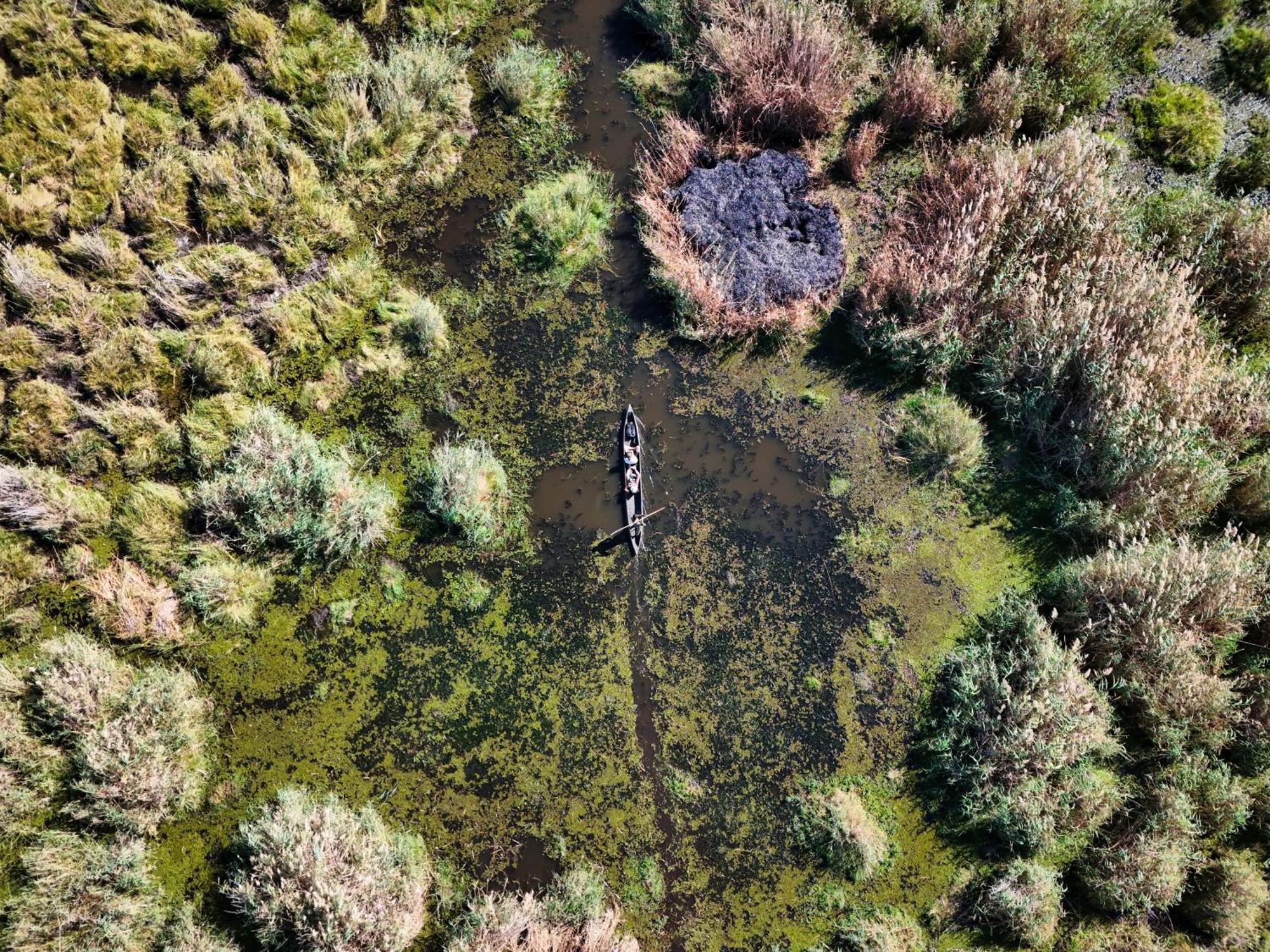 Golentle Home Stay Maun Zewnętrze zdjęcie