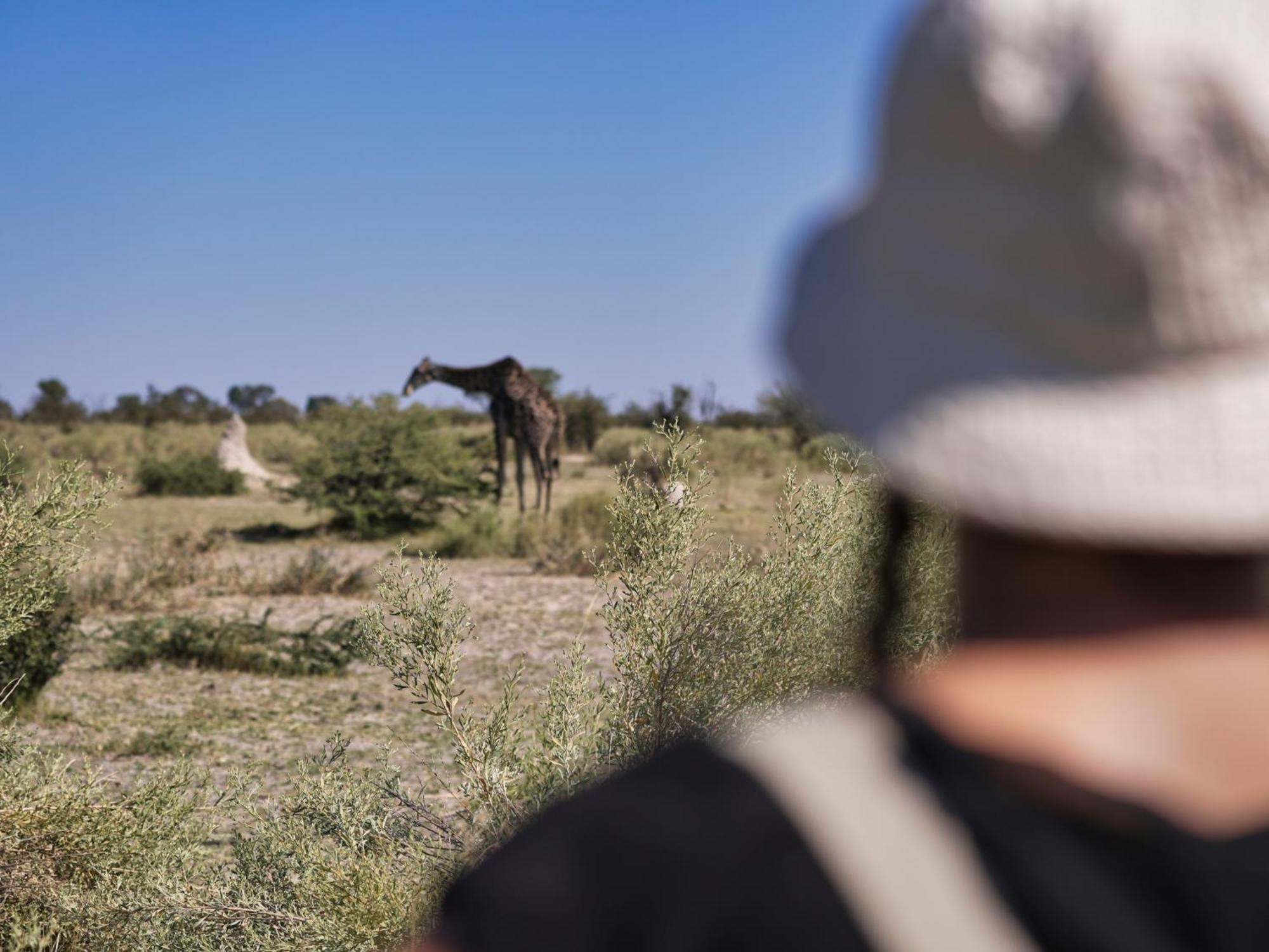 Golentle Home Stay Maun Zewnętrze zdjęcie