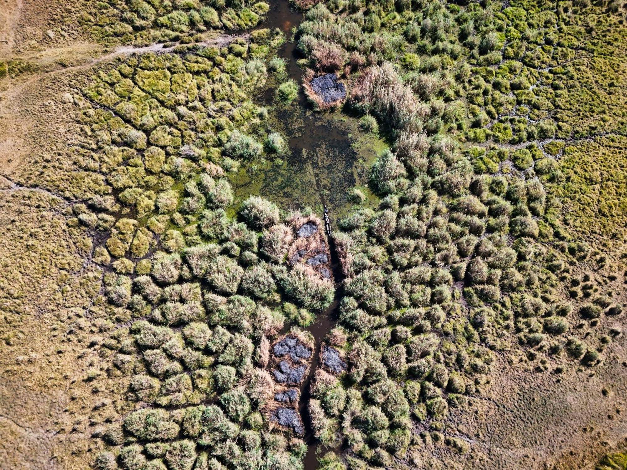 Golentle Home Stay Maun Zewnętrze zdjęcie