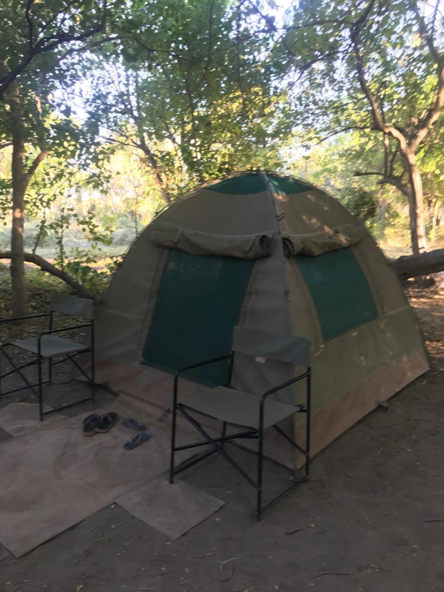 Golentle Home Stay Maun Zewnętrze zdjęcie