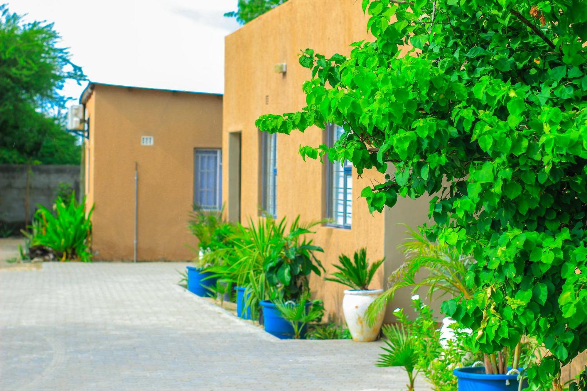 Golentle Home Stay Maun Zewnętrze zdjęcie