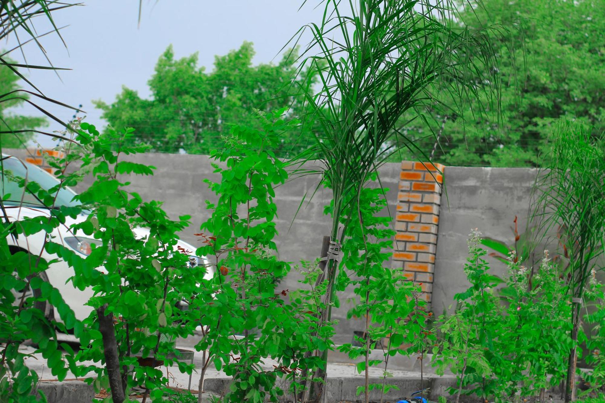 Golentle Home Stay Maun Pokój zdjęcie