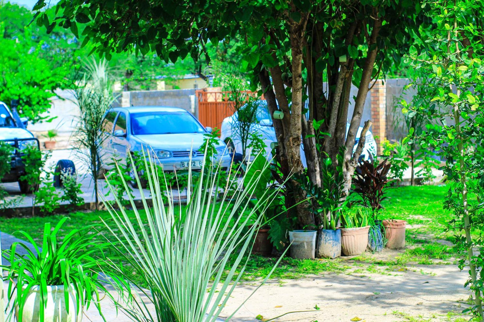 Golentle Home Stay Maun Zewnętrze zdjęcie